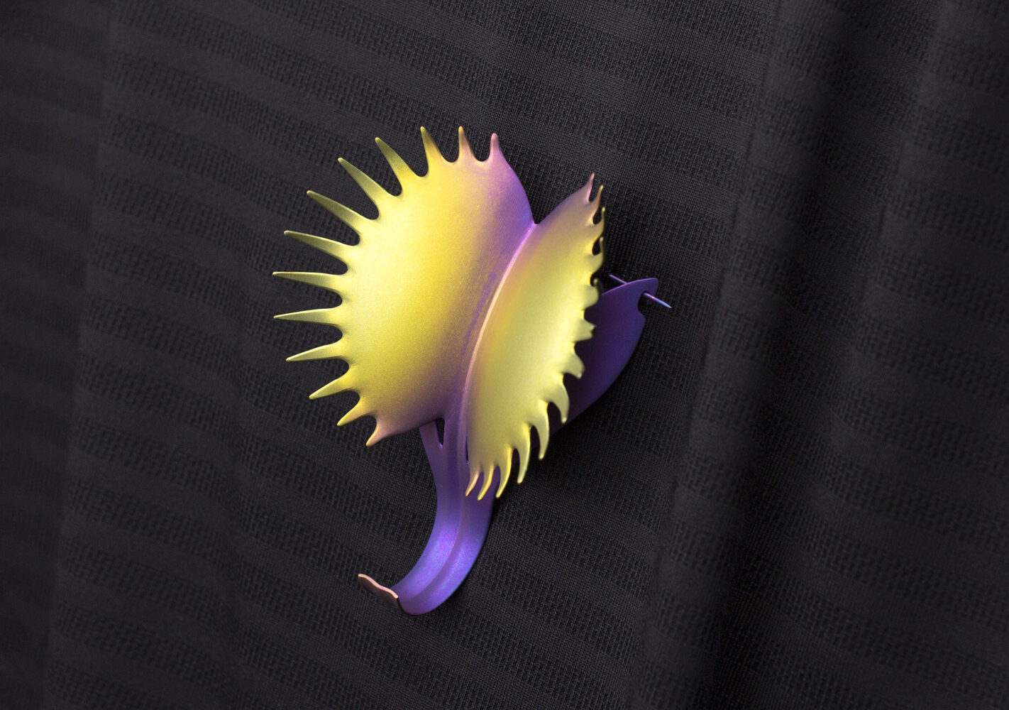 Anodizing Titanium - Image 4