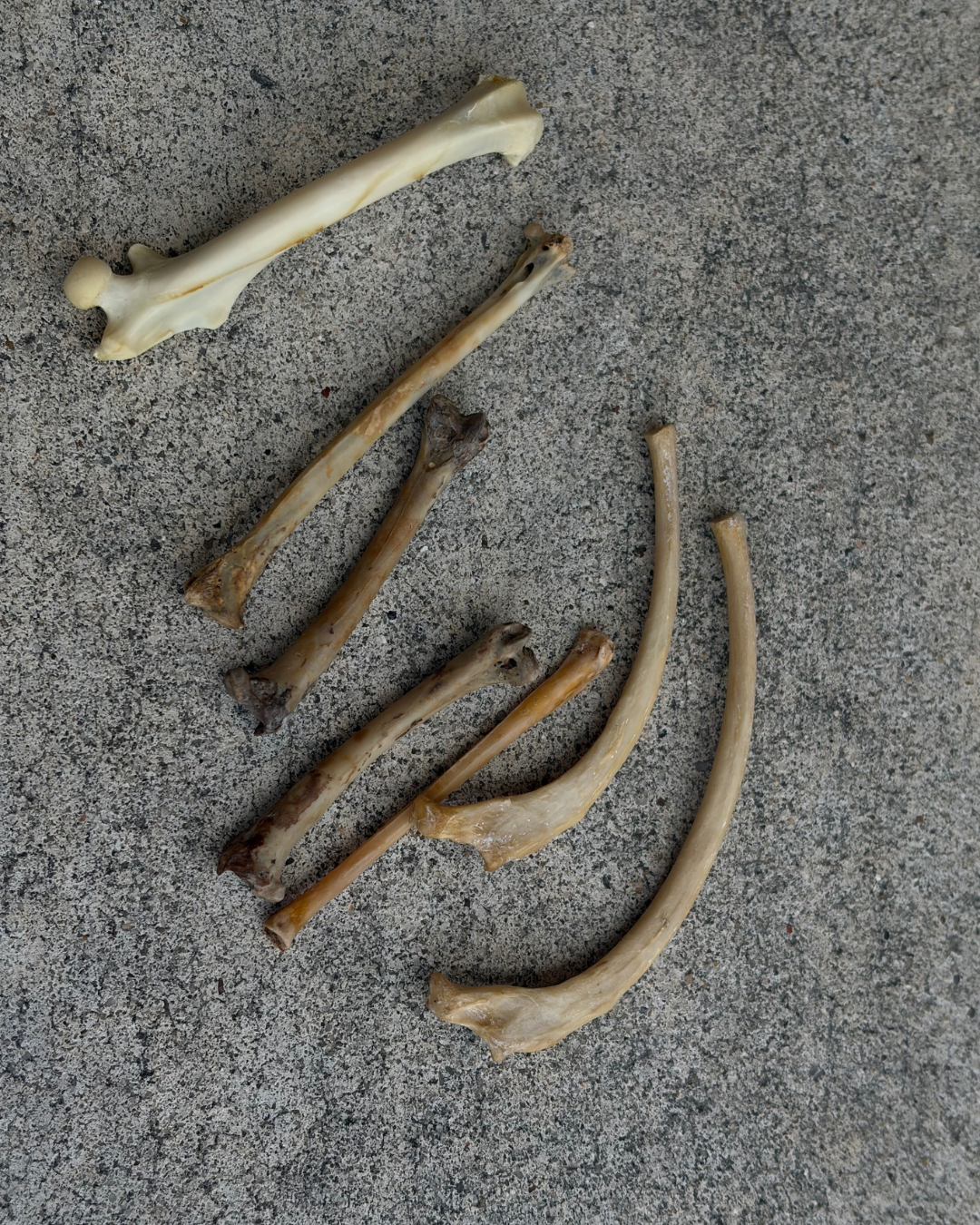 Spooky Adornments - Image 2